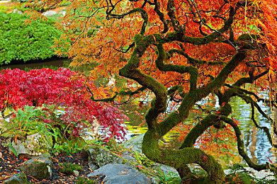 传闻：《细胞分裂》正传新作开发中 或在明年公布